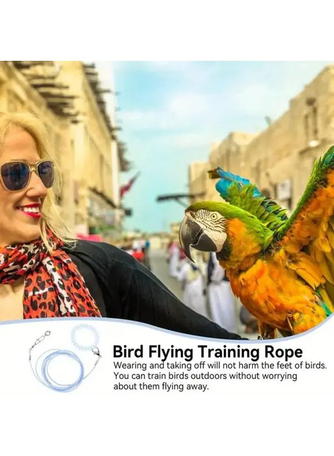 Black Parrot Outdoor Training Leash Set With Whistle Leg Rings Feeder 12pcs - Image 4